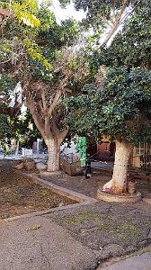 ORAN ECOLE PASTEUR QUI EST SQUATTEE (9)